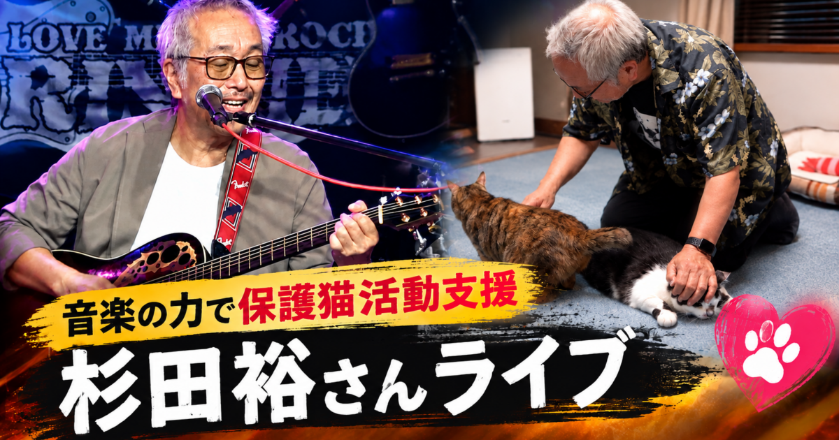 『 「音楽の力」で保護猫活動支援を 　久留米 杉田裕さんライブ』動画完成のサムネール画像